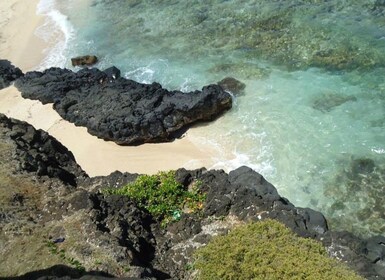 Mauritius: Vanilla Park and Wild Beaches Tour