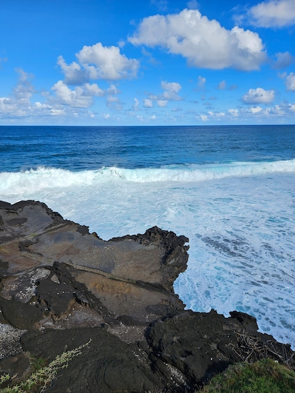 Picture 4 for Activity Mauritius: Vanilla Park and Wild Beaches Tour