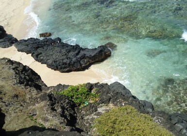 Mauritius: Vanillepark und wilde Strände Tour