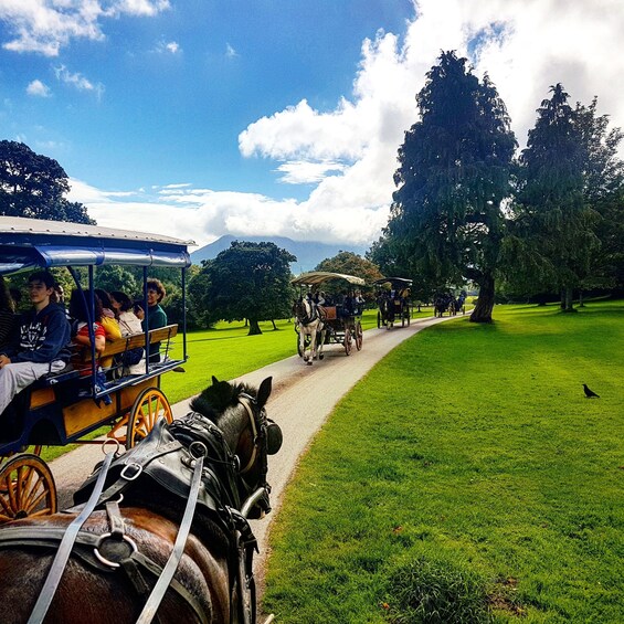 Picture 4 for Activity Killarney: Jaunting Car Tour with Craft Brewery Visit