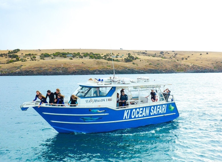 Picture 1 for Activity Kangaroo Island: Dolphin, Seal, and Swimming Boat Tour