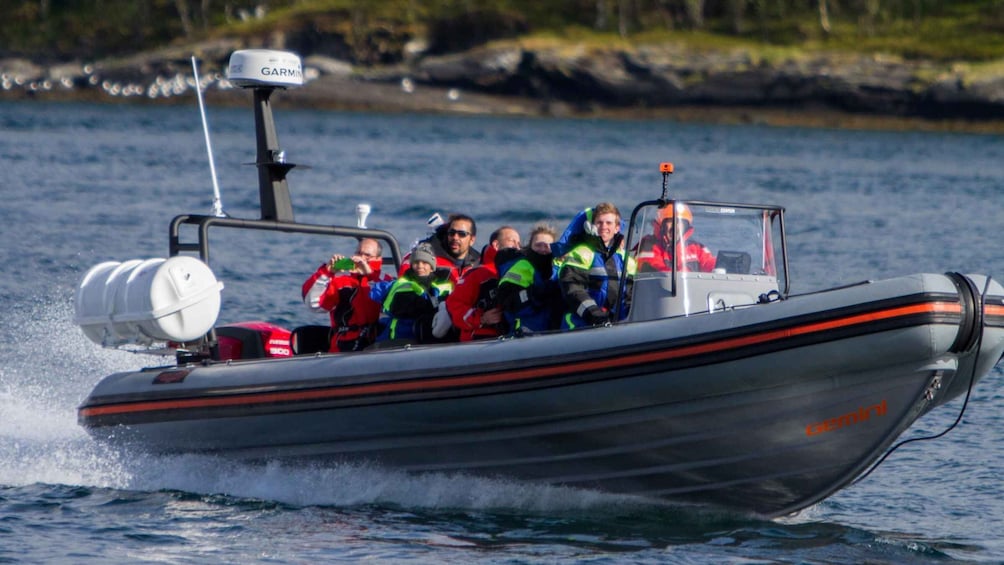 Tromso: RIB-Boat Excursion to Hella