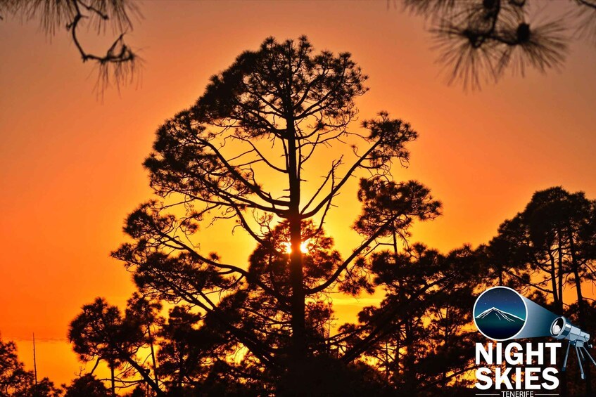 Picture 15 for Activity Tenerife: Teide National Park Sunset & Stargazing Experience