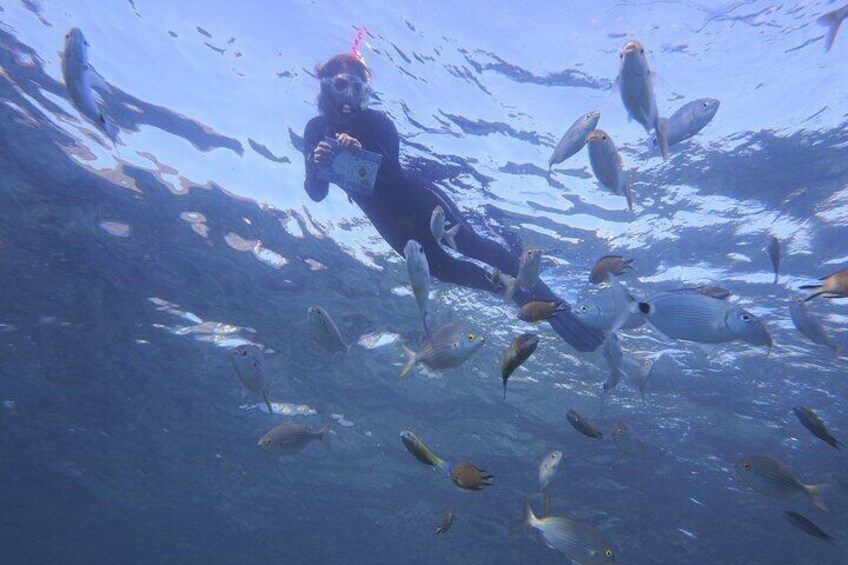 Lanzarote enjoys a vast biodiversity