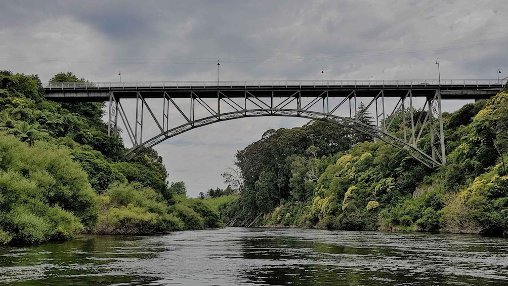 Picture 1 for Activity Waikato River: 1-Hour Ecological River Cruise