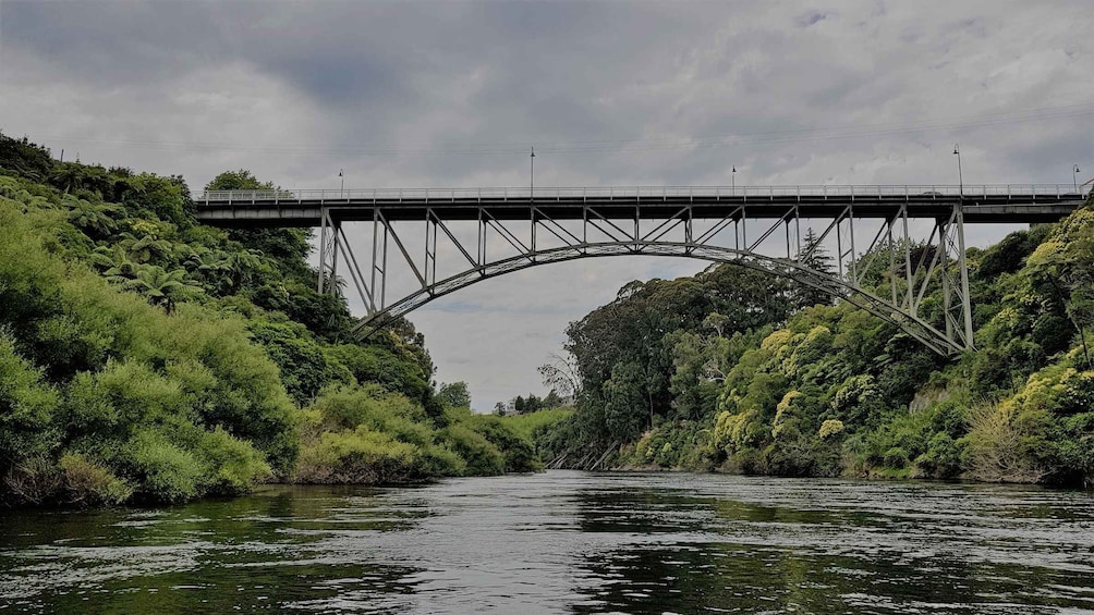 Picture 1 for Activity Waikato River: 1-Hour Ecological River Cruise