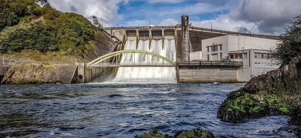 Picture 2 for Activity Waikato River: 1-Hour Ecological River Cruise