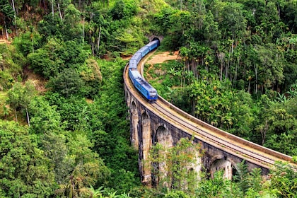 Sri Lanka Hill Country Train Trip, Kandy, Nuwara Eliya 2-day