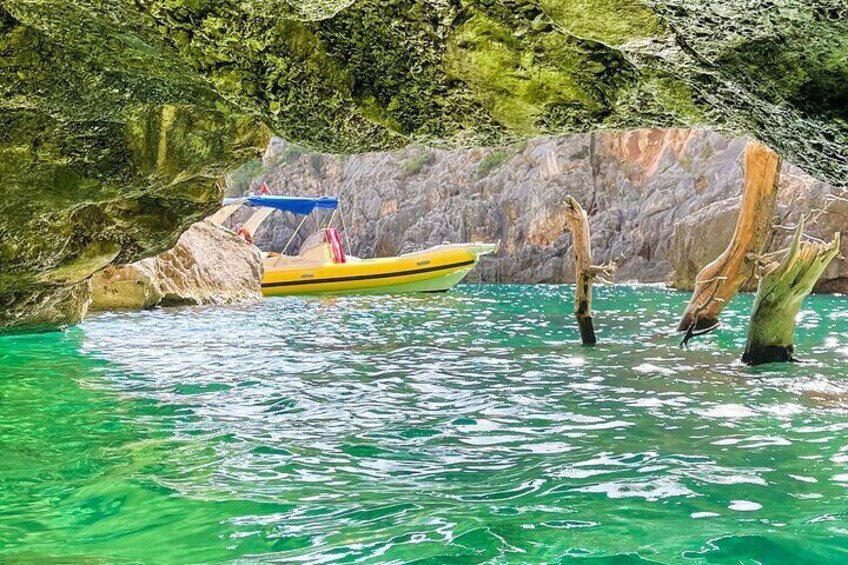 Small-Group Grama Bay Speedboat Tour