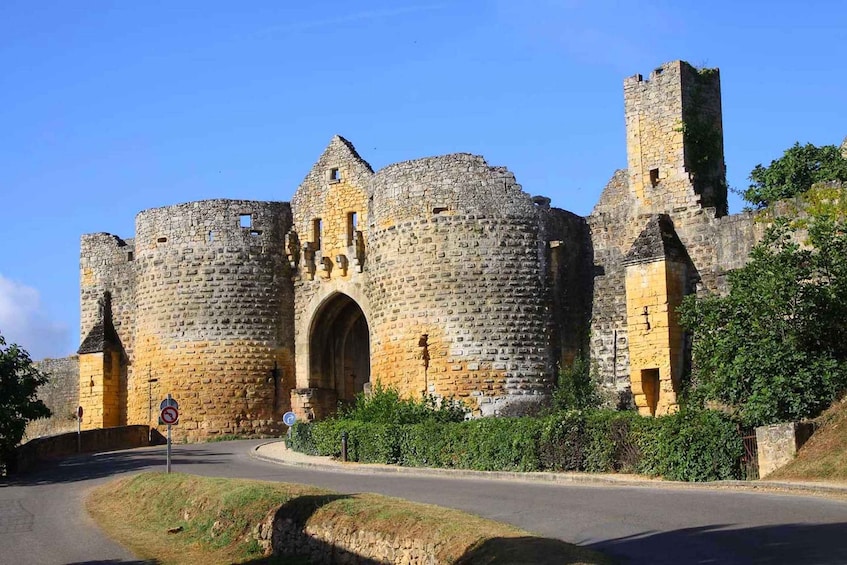 Picture 2 for Activity Sarlat : Private tour to the Dordogne Valley