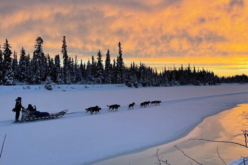 Alaskan Dog Sledding Tour in Small Group Throughout the Fairbanks