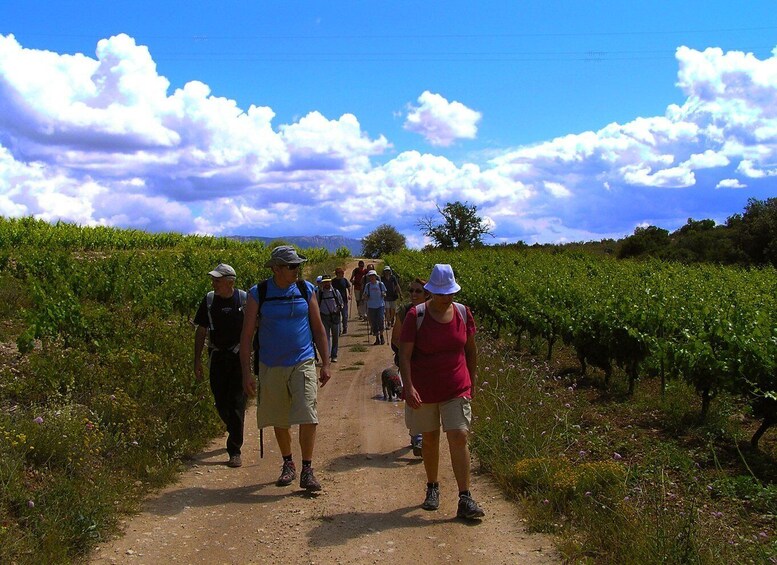 Picture 2 for Activity Trek & Wine in Priorat