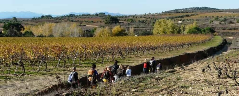 Picture 3 for Activity Trek & Wine in Priorat