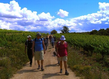 Trek & Wine in Priorat