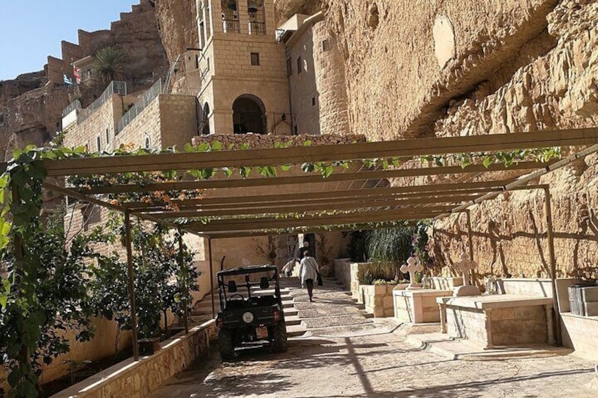 Monasteries of the Judean Desert Private Tour