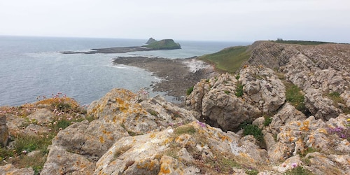 From Cardiff: Mumbles and Gower Peninsular Tour