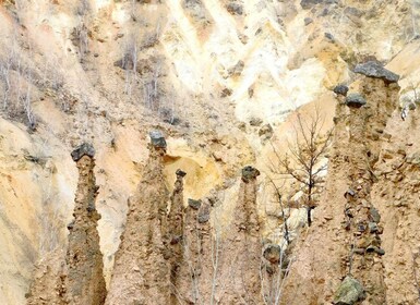 Desde Belgrado: Visita privada de un día a Niš y la Ciudad del Diablo