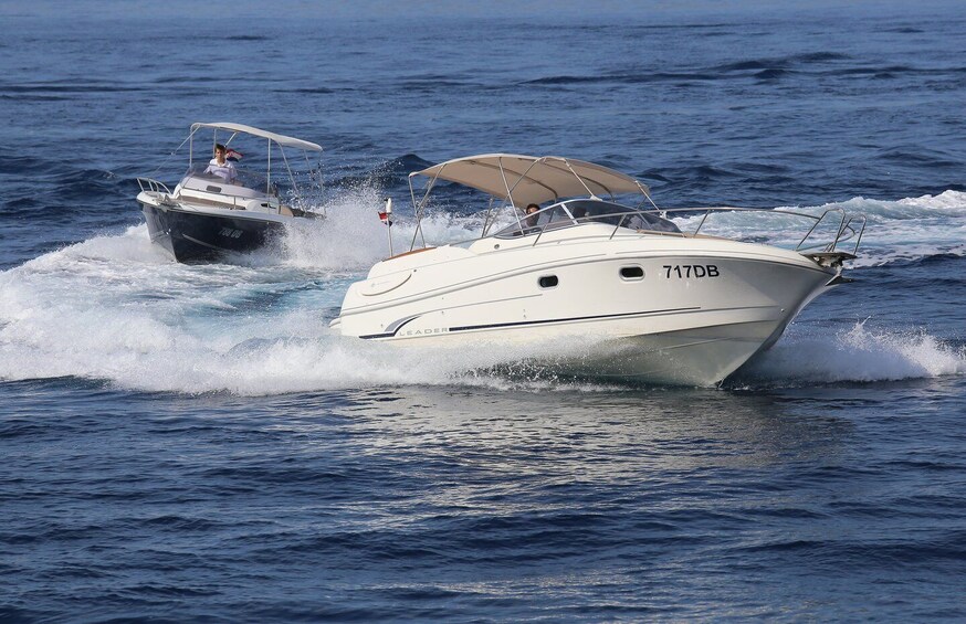 Picture 6 for Activity Dubrovnik: Private Elaphite Islands Speedboat Tour