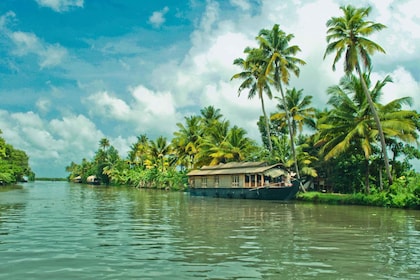 Cochin: Private Heritage and Backwaters Houseboat Tour