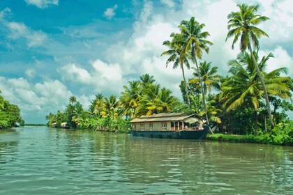 Cochin: visite privée du patrimoine et des backwaters en péniche