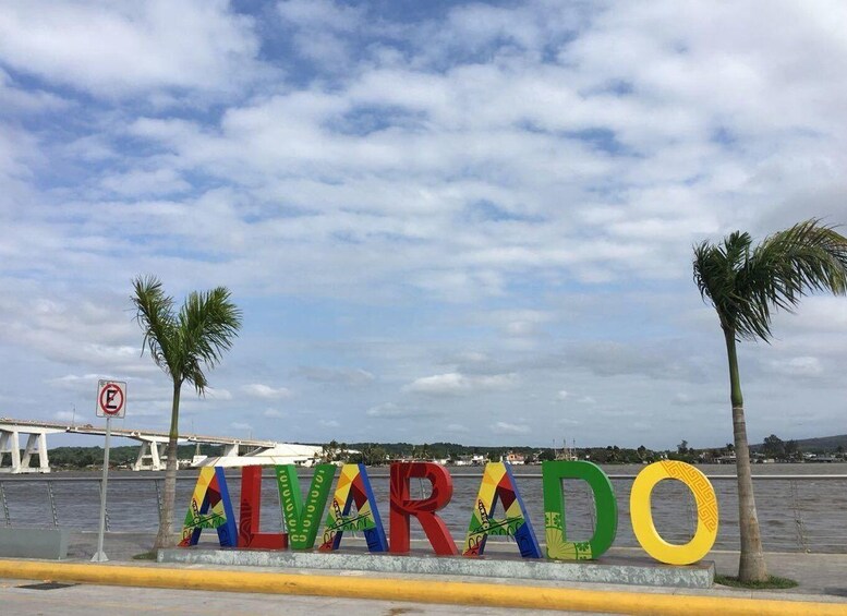 Picture 4 for Activity From Veracruz: Alvarado, Tlacotalpan and Agustín Lara Tour