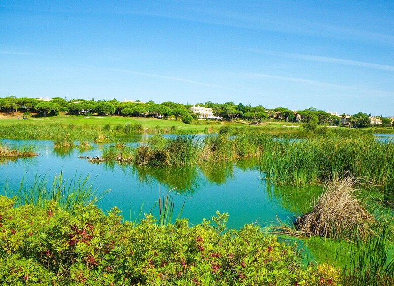 Picture 9 for Activity Ria Formosa National Park Segway Tour & Seafood Lunch