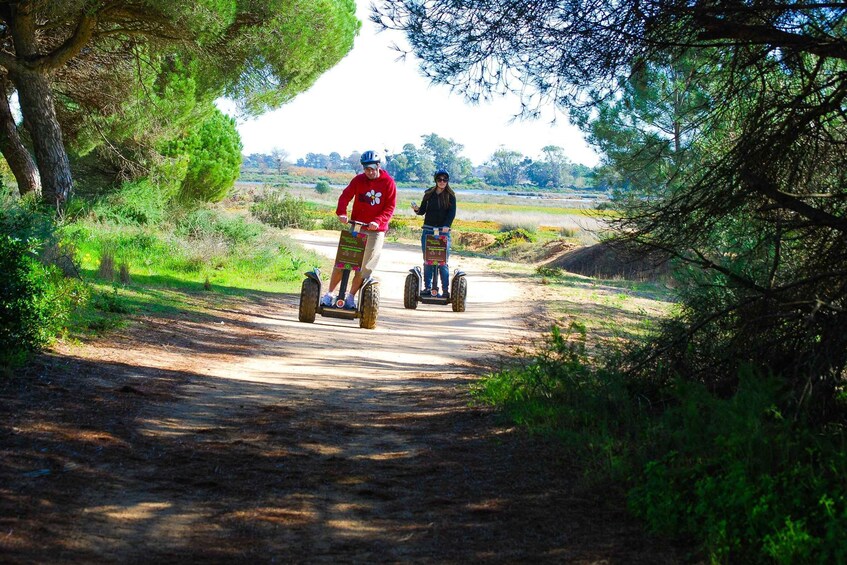 Picture 3 for Activity Ria Formosa National Park Segway Tour & Seafood Lunch