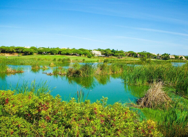 Picture 9 for Activity Ria Formosa National Park Segway Tour & Seafood Lunch