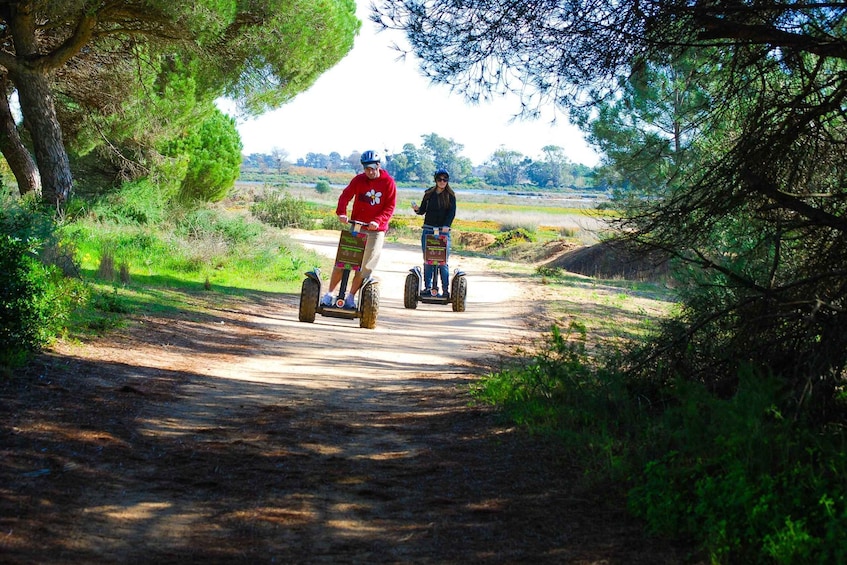 Picture 3 for Activity Ria Formosa National Park Segway Tour & Seafood Lunch