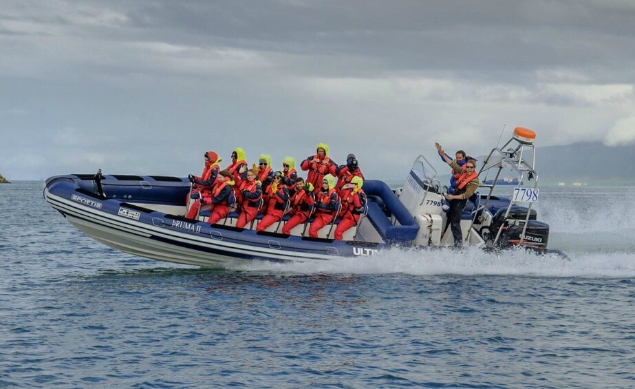 Reykjavik: Premium Whale Watching with Flexible Ticket