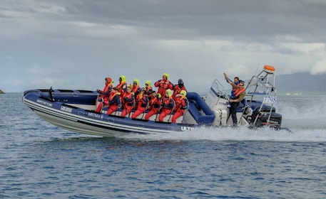 Reykjavik: Osservazione delle balene Premium con biglietto flessibile