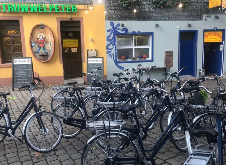 Picture 2 for Activity Mainz E-Bike City Tour