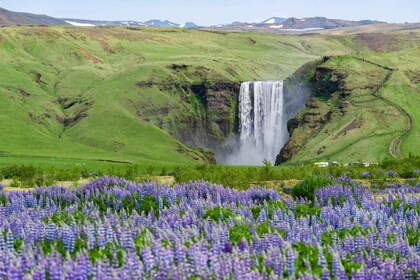 Depuis Reykjavik : Visite privée de la côte sud