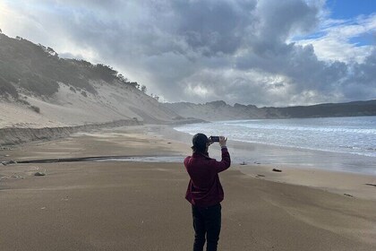Tasman Peninsula Day Tour