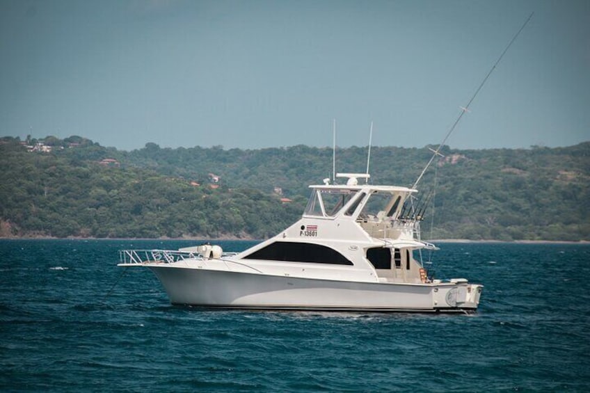 Fun at the Ocean with Barbecue at the Beach - Ocean Yacht 48ft