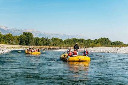 Jackson : excursion panoramique en radeau sur la rivière Snake avec vue sur...