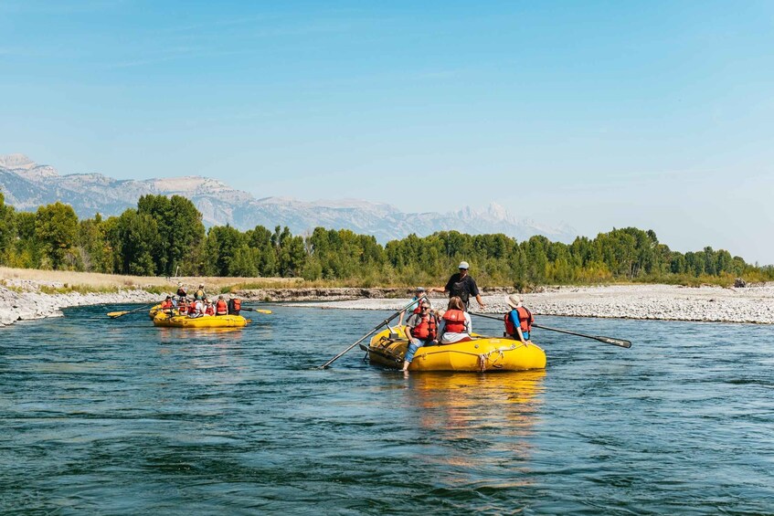 Jackson: Snake River Scenic Raft Float Tour with Teton Views