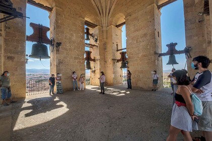 Segovia: Turm der Kathedrale - geführte Tour