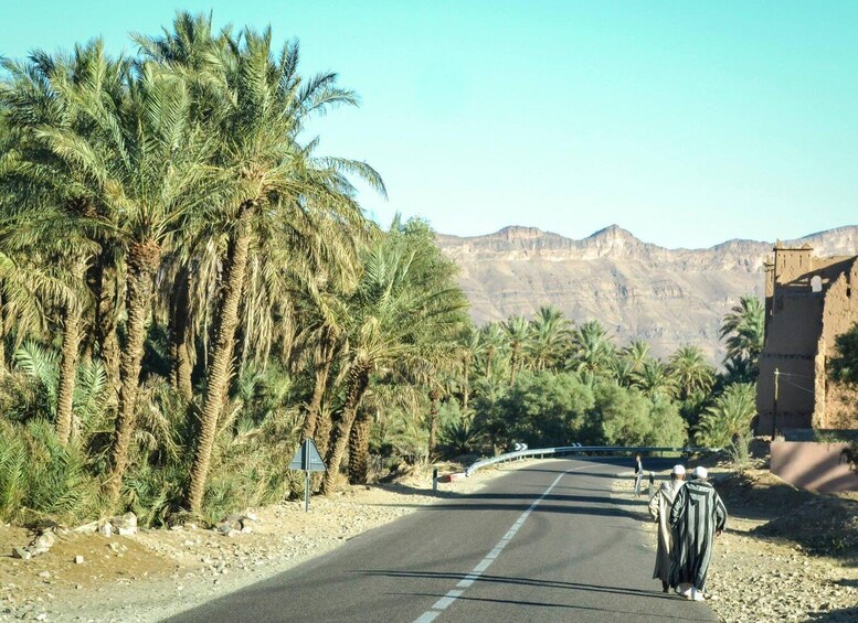 From Ouarzazate: Zagora and Draa Valley Day Tour