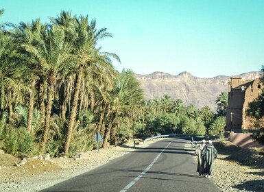 From Ouarzazate: Zagora and Draa Valley Day Tour