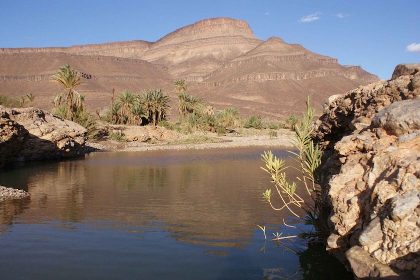 Picture 9 for Activity From Ouarzazate: Zagora and Draa Valley Day Tour