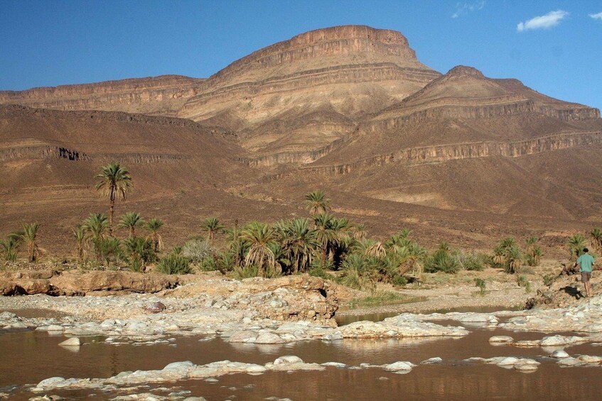 Picture 6 for Activity From Ouarzazate: Zagora and Draa Valley Day Tour