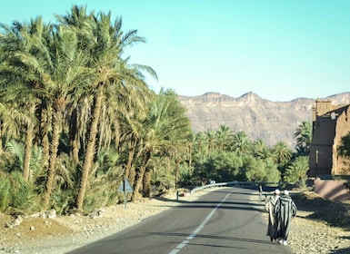 Au départ de Ouarzazate : Excursion d'une journée à Zagora et dans la vallé...