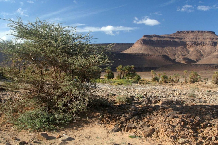 Picture 8 for Activity From Ouarzazate: Zagora and Draa Valley Day Tour