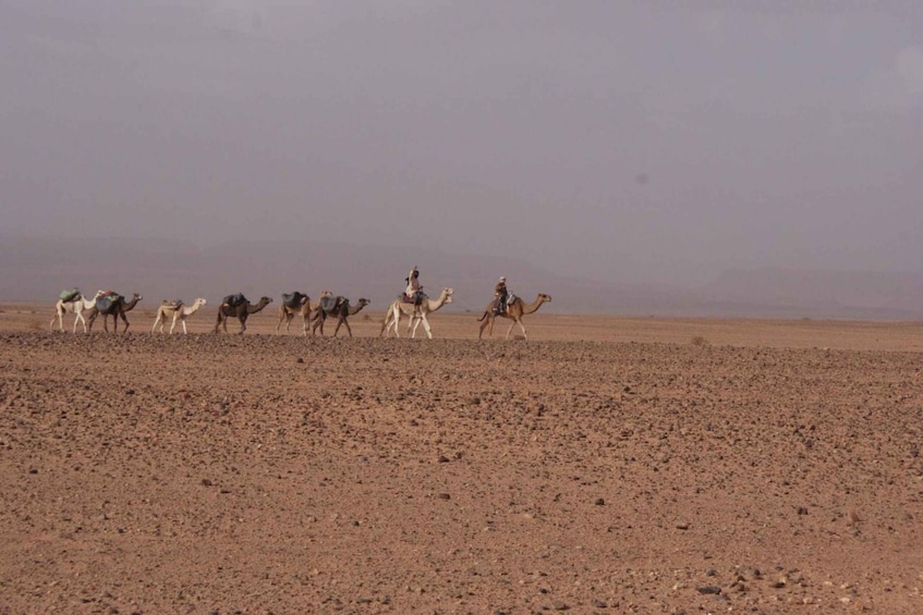 Picture 4 for Activity From Ouarzazate: Zagora and Draa Valley Day Tour