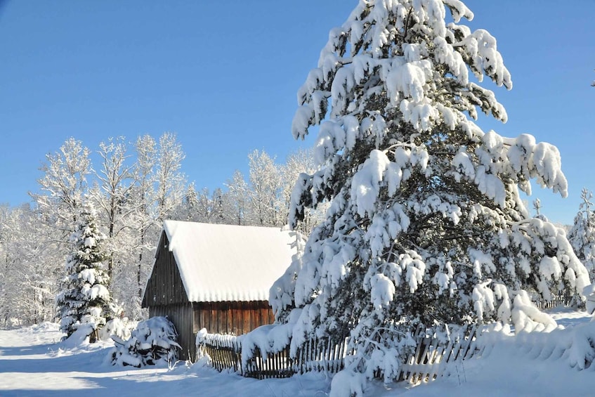 Picture 6 for Activity Krakow: Zakopane Tour with Thermal Pools and Hotel Pickup