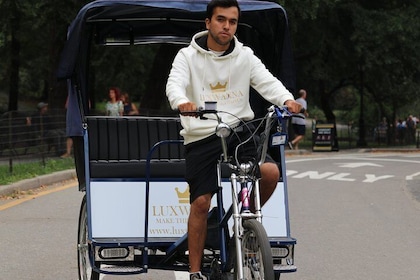 pedicab tour central park 45 minutes