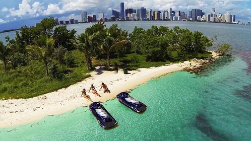 Miami: 1-Hour Jet Ski City Tour