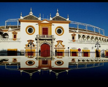 Sevilla 4 uur begeleide wandeltour