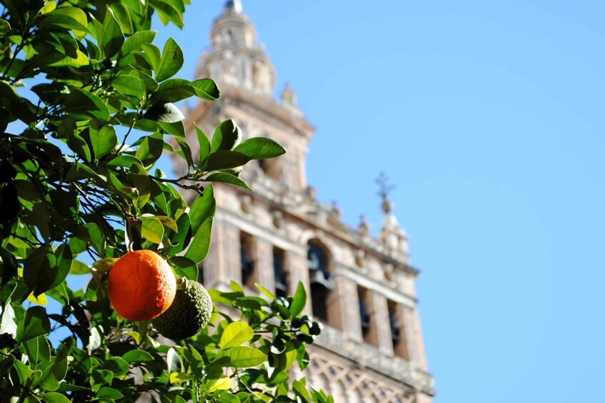 Picture 4 for Activity Seville 4-Hour Guided Walking Tour